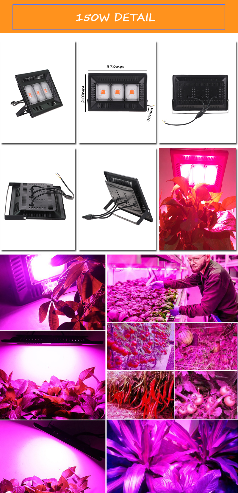 W V Full Spectrum Plant Grow Light Joyinled Lamp Joyinled Mini